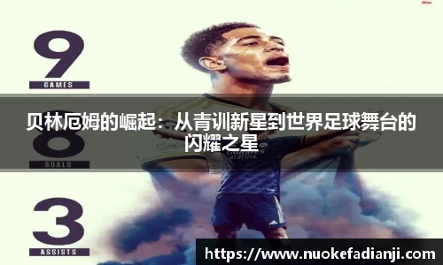 MK体育